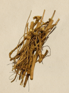 Devil's shoestring image