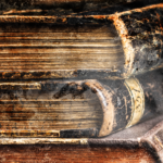 Psychic Readings from Tom Calhoun